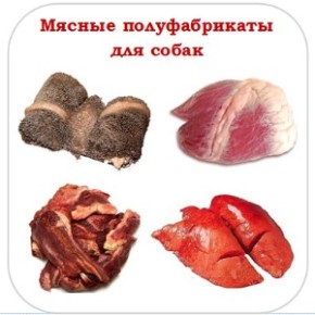 Производство мясных полуфабрикатов для собак. Что это за бизнес? Производство мясных полуфабрикатов для собак. Что это за бизнес?