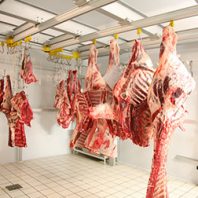 Сколько можно хранить охлажденное мясо в магазине?